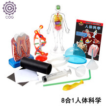科技小制作 探索科學(xué)與創(chuàng)意的完美結(jié)合